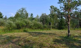9537 LAKEVIEW, Alanson, MI 49706