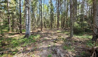 1365 MT Highway 209, Bigfork, MT 59911