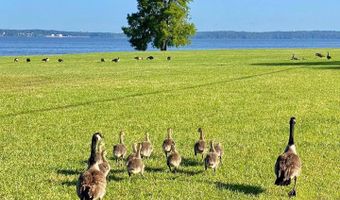 611 Osprey Cv, Brandon, MS 39047