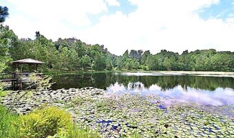 13 89 Ac Lumby Smith & Hwy 37, Adel, GA 31620