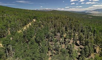 97 Zia Rd, Angel Fire, NM 87710