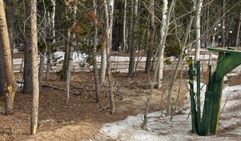 121 Aurora Rd, Black Hawk, CO 80422