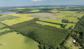 Jolene Road, Basile, LA 70515