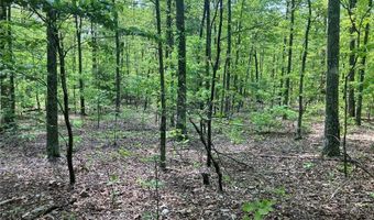 0 County Road 224, Alton, MO 65606
