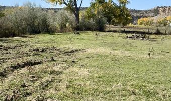 Xx ROAD 4599, Blanco, NM 87412