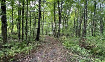 0 Danville Hill Rd, Cabot, VT 05647