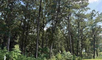 Lot 115 Boathouse Drive, Guntersville, AL 35976