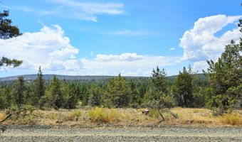 Canvasback Drive 28, Bonanza, OR 97623