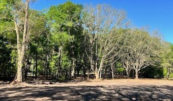 3109 US Hwy 129, Bell, FL 32619