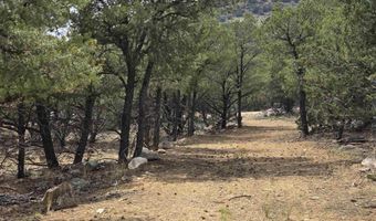 Lobo Ranch Road, Arroyo Hondo, NM 87513