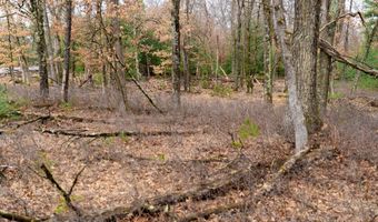 Dover Drive lot 1 14 Ac, Adams, WI 53910