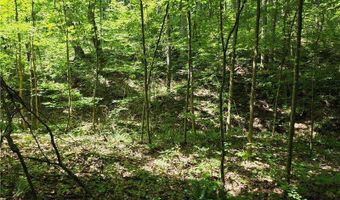 0 Lawson Federal, Ball Ground, GA 30107