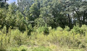 Brock Cir, Brandon, MS 39042