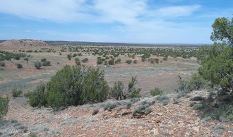 98 N9222, Concho, AZ 85924