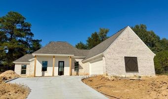 315 Jasmine Cove Ln, Brandon, MS 39042