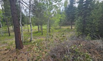 23 Sawtooth Loop, Cascade, ID 83611
