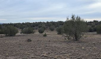 245 Antelope Run Rd, Ash Fork, AZ 86320
