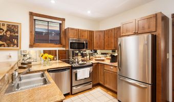 507 W Main St C101, Aspen, CO 81611