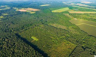 CARPENTER ROAD, Bastrop, LA 71220