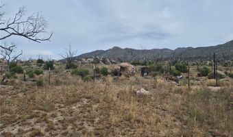 1 Tule Peak Rd, Anza, CA 92536