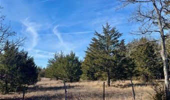 LAKE OZZIE COBB 102-B, Antlers, OK 74523