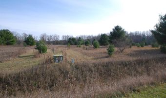 Lot 37 Mallard Drive, Alger, MI 48610