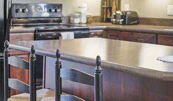 10300 Vista Ridge Dr, Alden, MI 49612