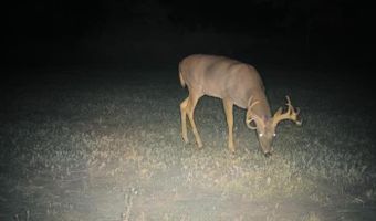 8752 HWY A, Almond, WI 54909