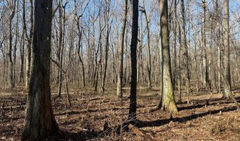 Cr 127, Abbeville, MS 38601