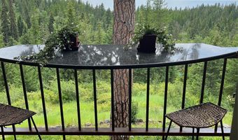 32054 Birch Tree Dr, Bigfork, MT 59911