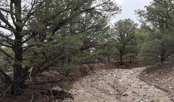 Unk Sandia Canyon Rd, Arroyo Hondo, NM 87513