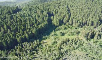 1041 HARMONY CREEK Dr, Afton, WY 83110