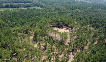1 Champion Hill Rd, Bolton, MS 39041