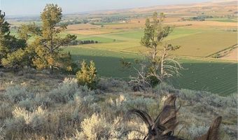 10 PRONGHORN Ln, Bridger, MT 59014