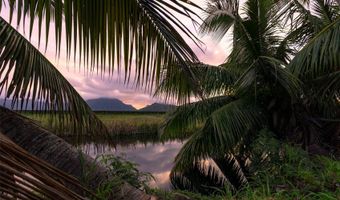 221 Kihapai St 1&2, Kailua, HI 96734