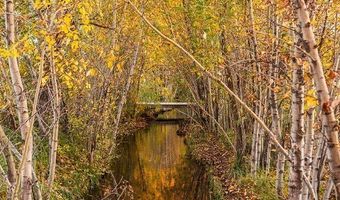 20 Prairie Grass B, Bozeman, MT 59718