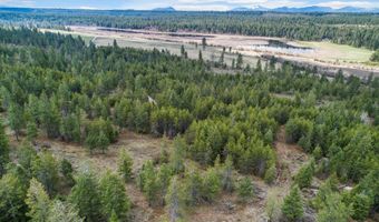 12 Ac Elizabeth Ln, Athol, ID 83801