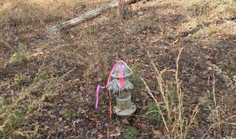 00001 Hwy 369, Ball Ground, GA 30107