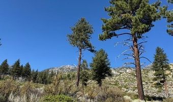 Kingsbury Grade, Gardnerville, NV 89460