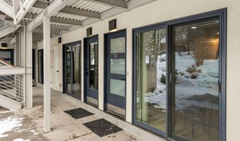 100 E DEAN St 1D, Aspen, CO 81611