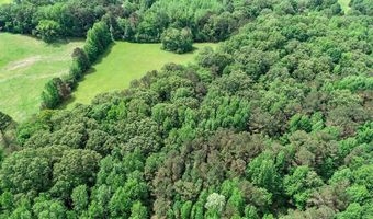 John Branch Road, Batesville, MS 38606