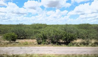 325 CR-129, Alice, TX 78332