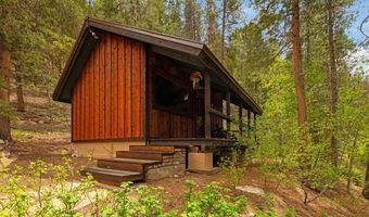 340 County Road 54, Almont, CO 81210