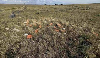 BUGGY RD, Carpenter, WY 82054