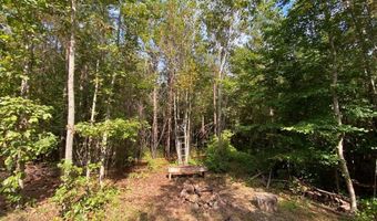 18 62 Ac Squirrell Hollow Rd, Alberta, VA 23821