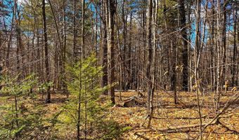 TM 407 L 35 Shem Valley Road, Alexandria, NH 03222