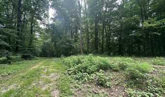 Lot 5 & 6 Lafon Road, Bath Springs, TN 38311