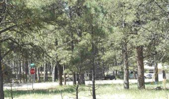 Lot 7, Angel Fire, NM 87710