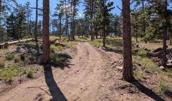 Old Camp Rd, Bellvue, CO 80512