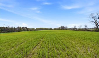 Beaver Road, Alexander, NY 14005